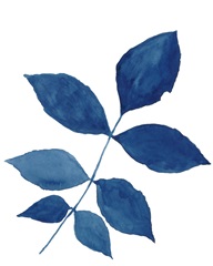 Indigo Botanica VI