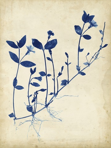 Indigo Leaf Study II