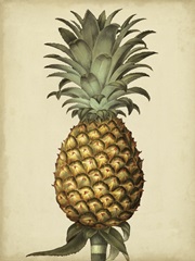 Brookshaw Antique Pineapple I