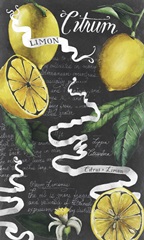 Chalkboard Citrus I