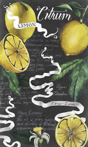 Chalkboard Citrus I