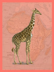 African Animals on Coral I