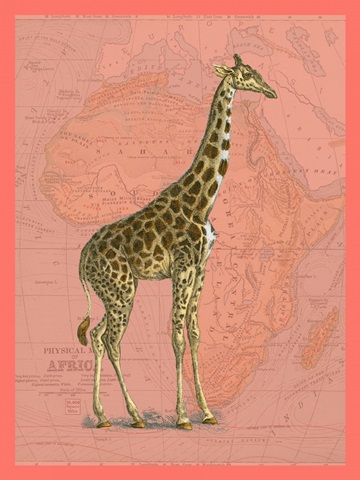 African Animals on Coral I