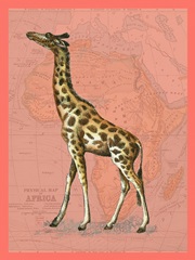 African Animals on Coral II