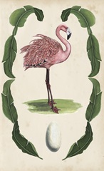 Antiquarian Menagerie - Flamingo I