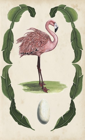 Antiquarian Menagerie - Flamingo I