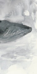 Blue Whale Triptych III