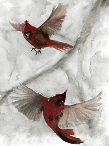 Cardinals I