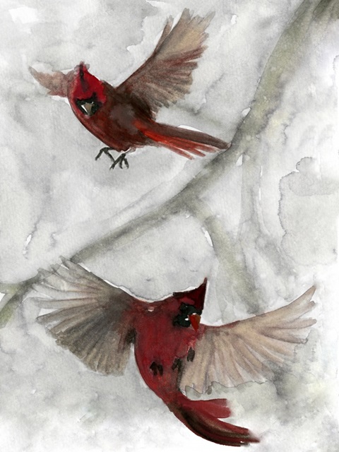 Cardinals I