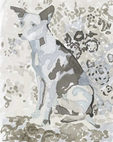 Dog Study IV