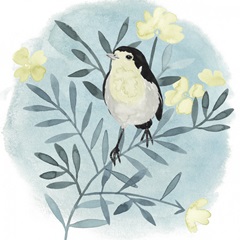 Feathered Friends II