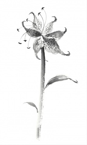 Ink Tiger Lily