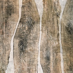 Live Edge III