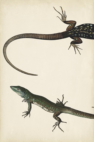 Lizard Diptych I