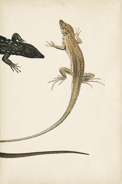 Lizard Diptych II