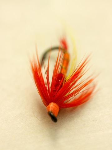 Macro Lure VIII