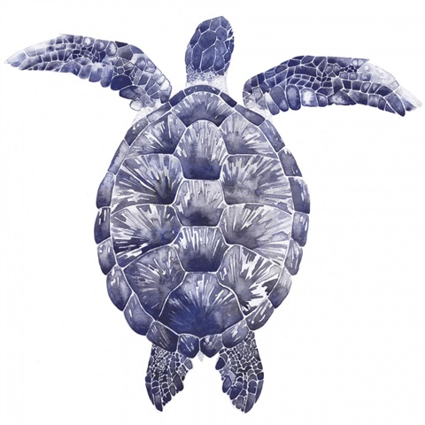 Marine Turtle I
