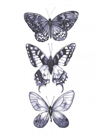 Monochrome Butterflies I