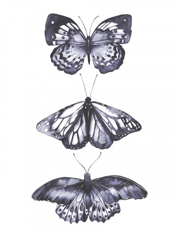 Monochrome Butterflies II