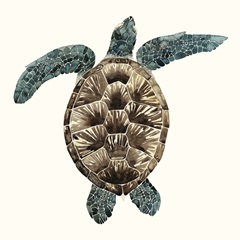 Mosaic Turtle II
