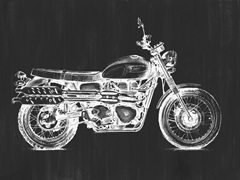 Motorcycle Graphic II