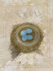 Nest - Robin