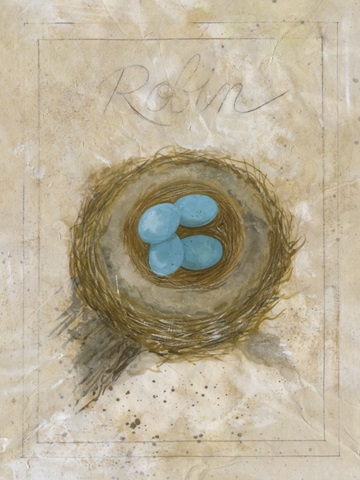 Nest - Robin