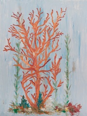 Painterly Coral II