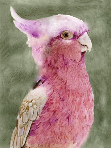 Palm Springs Parrot I