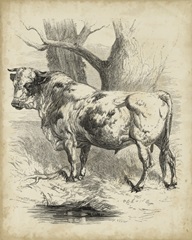 Pastoral Sketch II