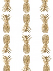 Pineapple Life VI