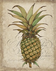 Pineapple Study I