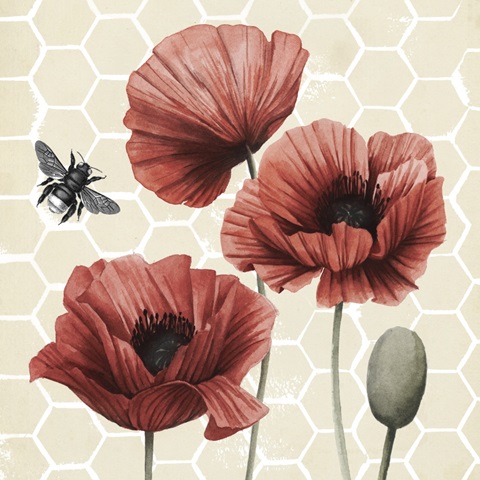 Poppy Buzz I