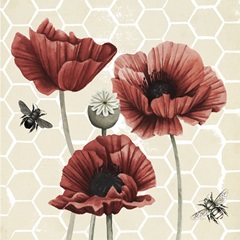 Poppy Buzz II