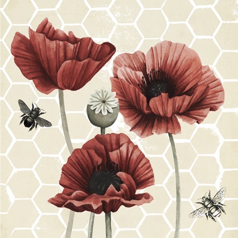 Poppy Buzz II