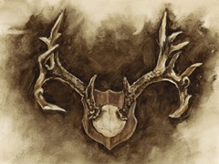 Rustic Antler Mount I