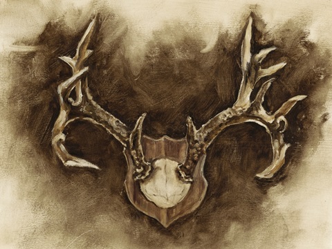 Rustic Antler Mount I