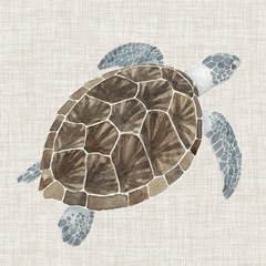 Sea Turtle I