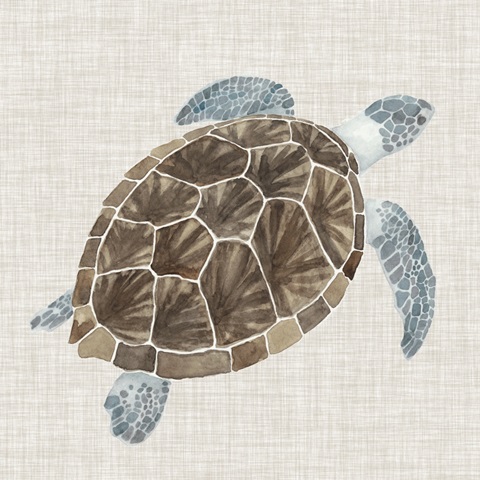 Sea Turtle I