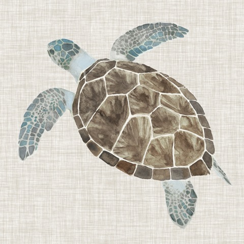 Sea Turtle II