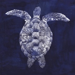 Sea Turtle Shadow I