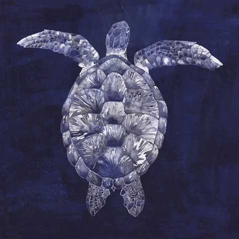 Sea Turtle Shadow I