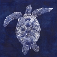 Sea Turtle Shadow II