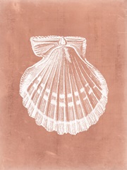 Sealife on Coral VII