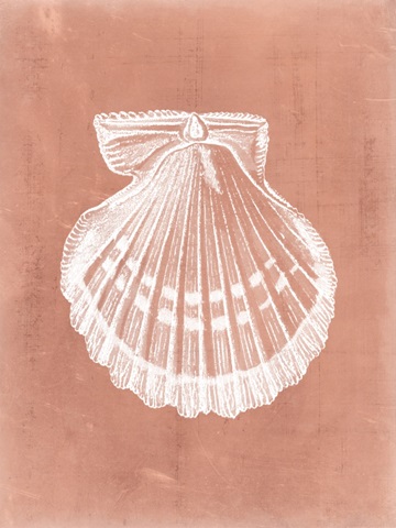 Sealife on Coral VII