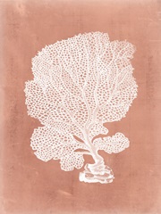 Sealife on Coral VIII