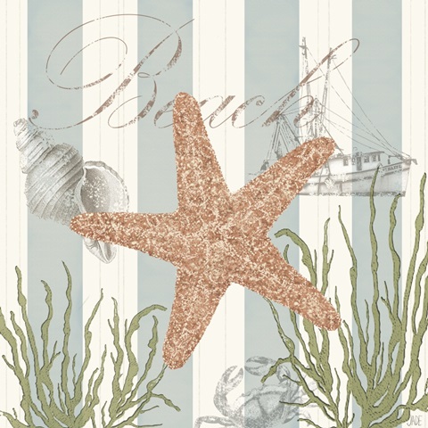 Seashells by the Seashore I