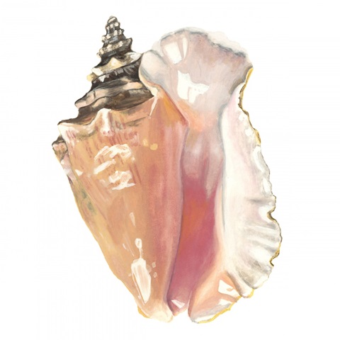 Seashore Souvenirs I