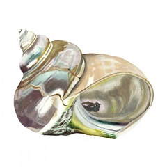 Seashore Souvenirs IV