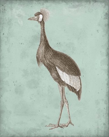 Sepia and Spa Heron II